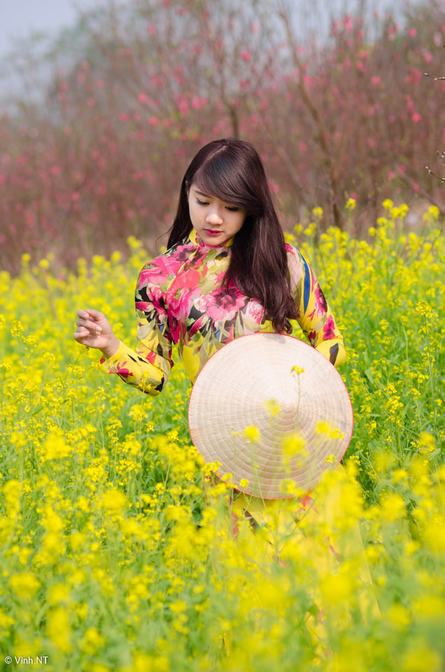 風塵三女俠電影