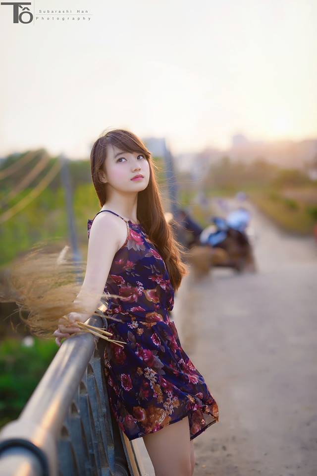 最美的安排電視劇全集免費(fèi)觀看